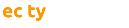 Ecity Solutions LLC